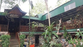 Sepolik Jungle Resort - Out hotel