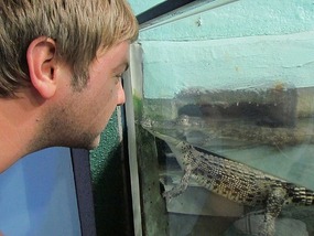 Reef HQ Aquarium