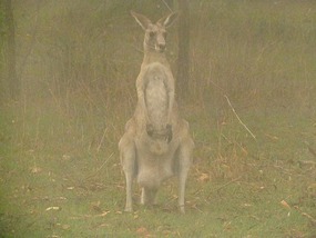 Outside our van in the morn