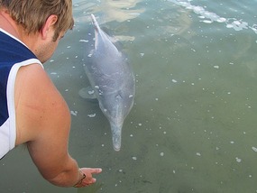 Tin Can Bay