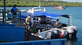 Scuba Diving
