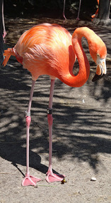 Seaworld Orlando