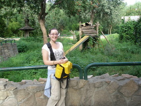 An outdoor Panda