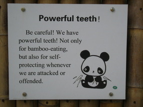 Don't offend a Panda...