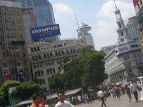 Spot the giant insect