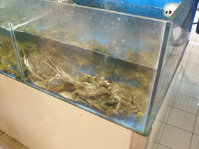 Poor crabbys!