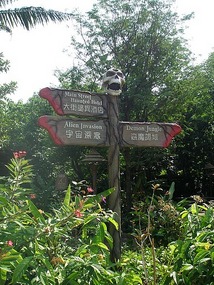 Signs for the Hallowe'en Rides