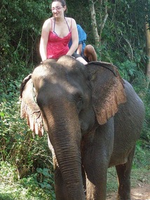 Mary's Elephant