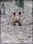 Pop hole for the tunnels