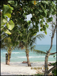 View from the bungalow