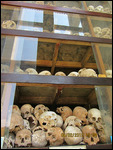 Over 8000 skulls
