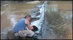 Colecting water