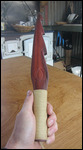 Spear head we made for Paul