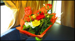 Mel's flowers