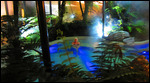 Hot springs after a long day