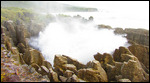 Blow Hole
