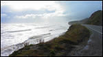 Road to the sea