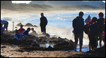 Hot water beach