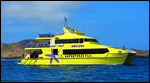 The Ferry