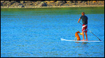Taking the dog for a paddle