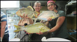 The days catch