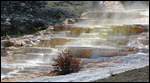 Mammoth hot springs