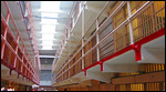 The cells