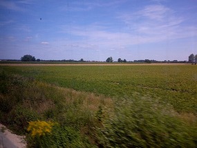 zu Nünburg