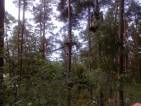 Ropes course