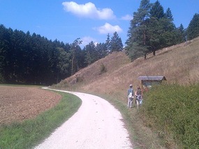 The Nature Trail