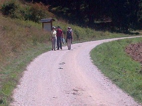 The Nature Trail