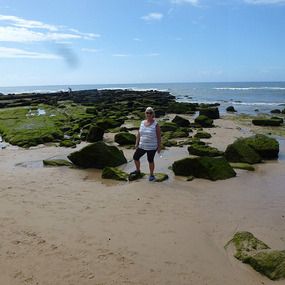 Algae covered rocks as green as grass
