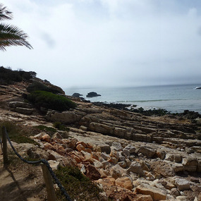 Rocky shoreline