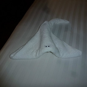 Cute little ray towel animal on my bed
