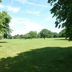 Green lawns