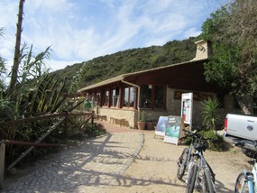 Bar at the beach owned by friends
