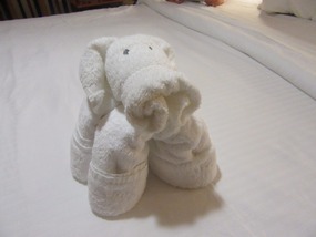 Darling towel animal on my bed