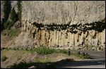 Yellowstone