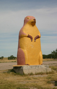 Big Prairie Dog