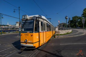 Budapest Trolly