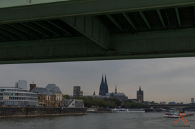 Cologne