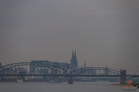 Cologne
