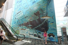 Miami Airport