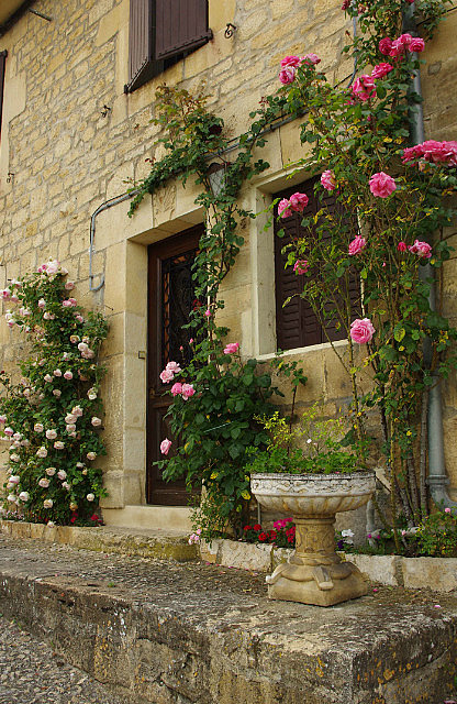 Sarlat Market a third visit