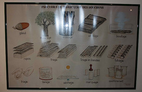 Museum