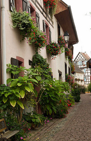 Eguisheim