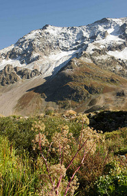 Col du Lautaret