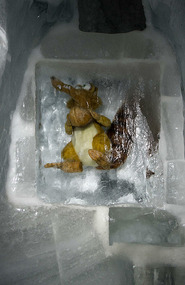 Jungfraujoch