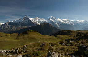 Schynige Platte