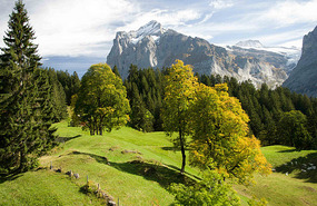 Grindelwald